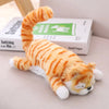 Funny Laughing Cat Fur Toy For Kids